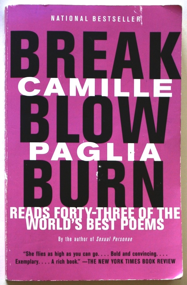 Break, Blow, Burn. Cover